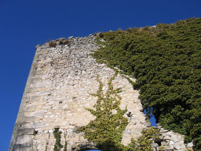 Castelli,Torri e Palazzi.....del Trentino